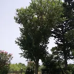 Casa Di Costa * Costa Rei