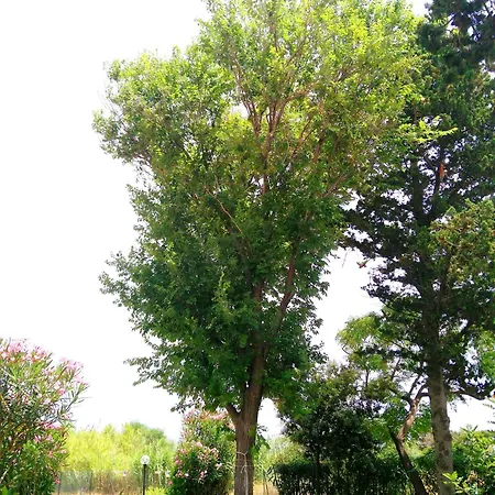 Feriehus Casa Di Costa