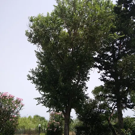 Casa Di Costa * Costa Rei